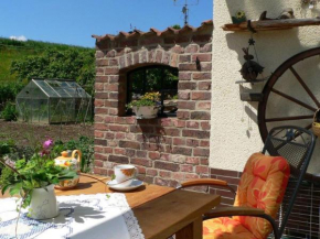 Quietly located holiday home with terrace at the edge of the forest